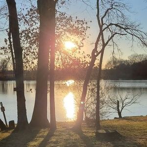 Meet your Posher, Ray